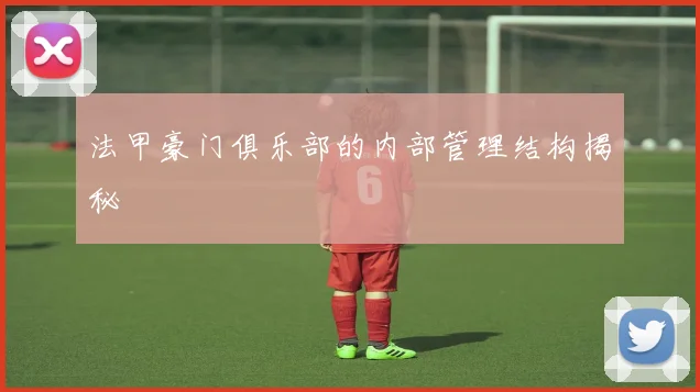 法甲豪门俱乐部的内部管理结构揭秘