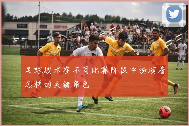 足球战术在不同比赛阶段中扮演着怎样的关键角色