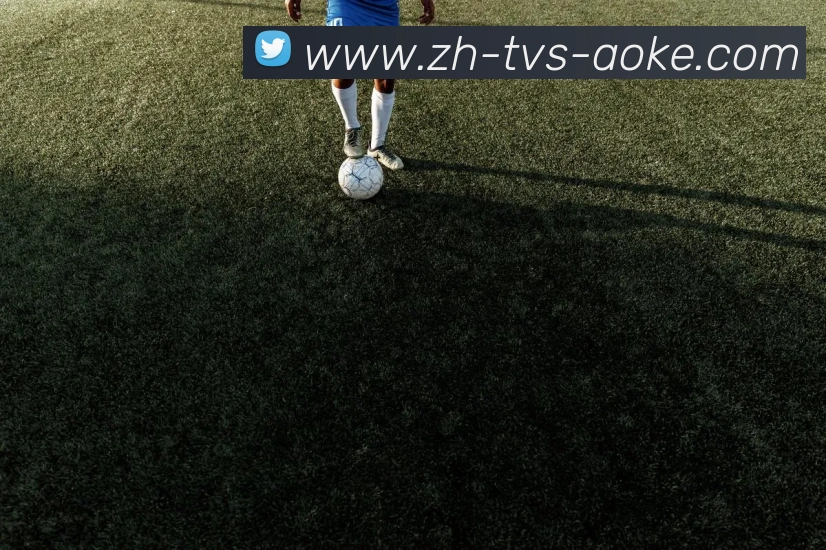 澳客足彩发展历程